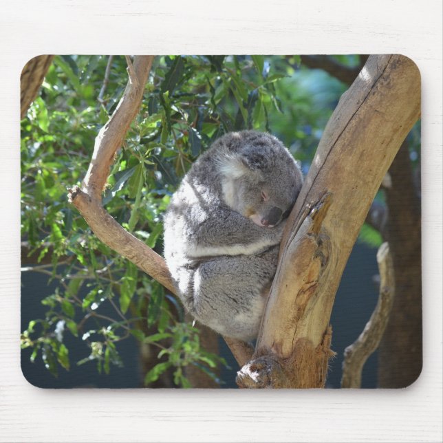 Tapis De Souris Photo Koala (Devant)