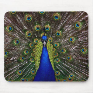 Tapis De Souris Photo majestueuse lumineuse d'animal de plume