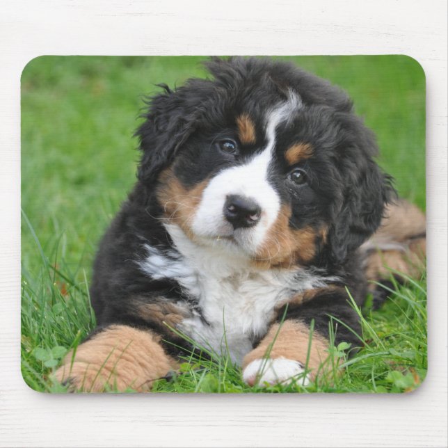 Tapis De Souris Photo personnalisée de chien d'amour pour animaux  (Devant)