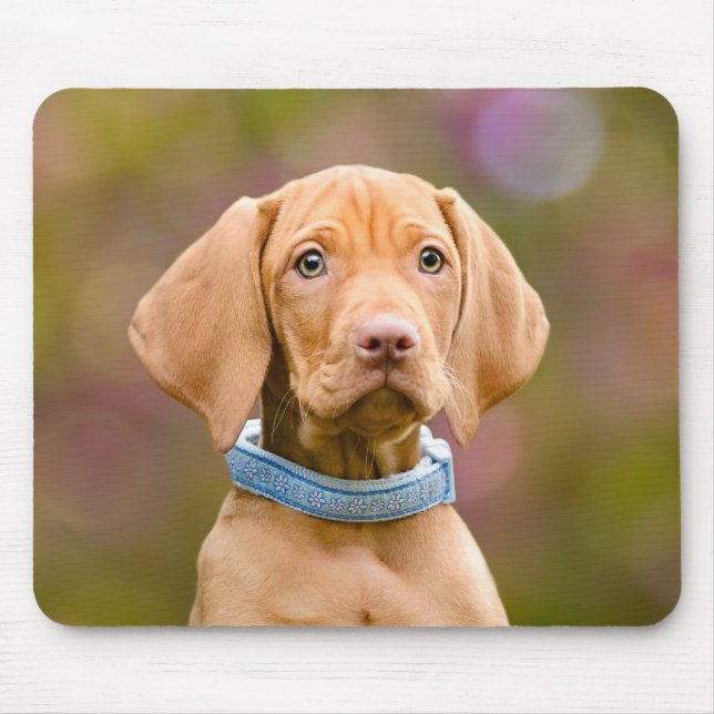Tapis De Souris Photo puppyeyed mignonne de chiot de chien de (Devant)