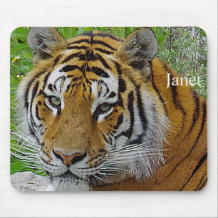 Tapis De Souris Photo rapproché du visage d'un tigre de Sibérie