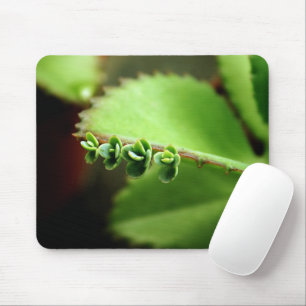 Tapis De Souris Photo verte Mousepad de nature d'usine de