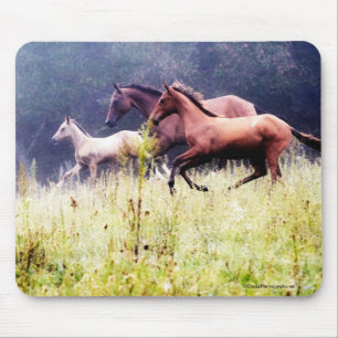 Tapis De Souris Photographie de Galloping Horses