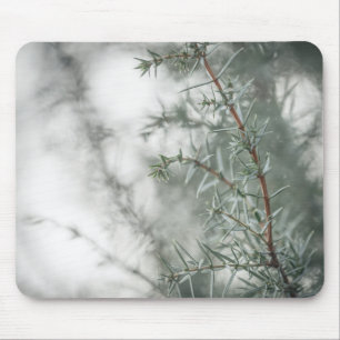 Tapis De Souris Photographie de la nature du genièvre commun