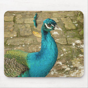 Tapis De Souris Photographie de nature magnifique de paon