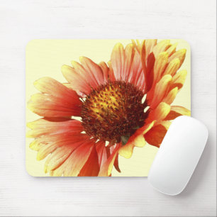 Tapis De Souris Photographie de plan rapproché de Gaillardia de