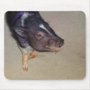 Tapis De Souris Photographie de porc gonflée par pot drôle