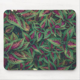 Tapis De Souris Photographie - Feuilles rouges et verts