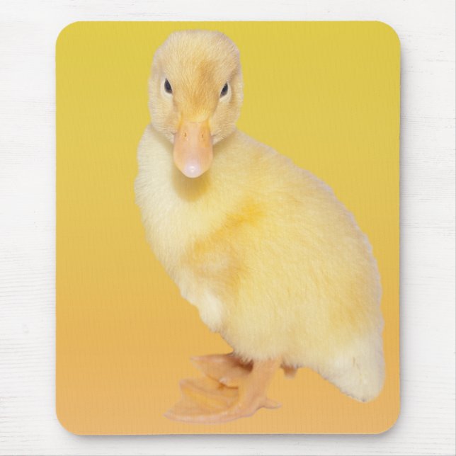 Tapis De Souris Photographie jaune adorable de caneton (Devant)