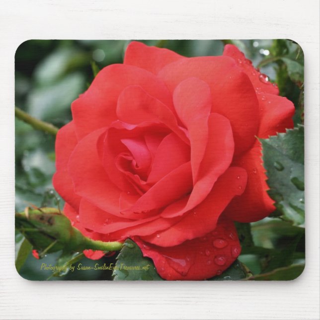 Tapis De Souris Photographie Mousepad de fleur de rose rouge (Devant)