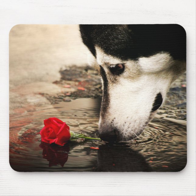 Tapis De Souris Photographie Mousepad de rose enroué et rouge (Devant)