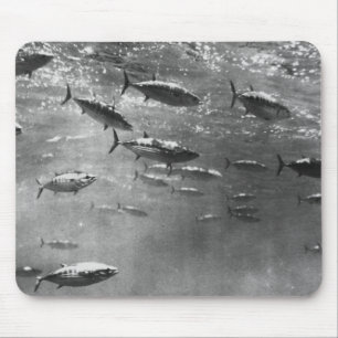 Tapis De Souris Photographie sous-marine noire et blanche des