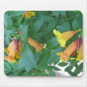 Tapis De Souris Photos de fleurs