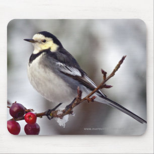 Tapis de souris Pied Wagtail