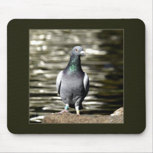 Tapis De Souris Pigeon