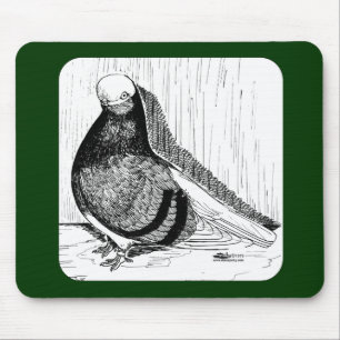 Tapis De Souris Pigeon Bald Anglais à face courte 1978