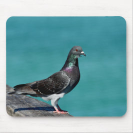 Tapis De Souris Pigeon biset