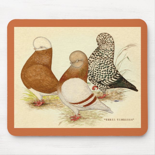 Tapis De Souris Pigeons de tambour trois (Devant)