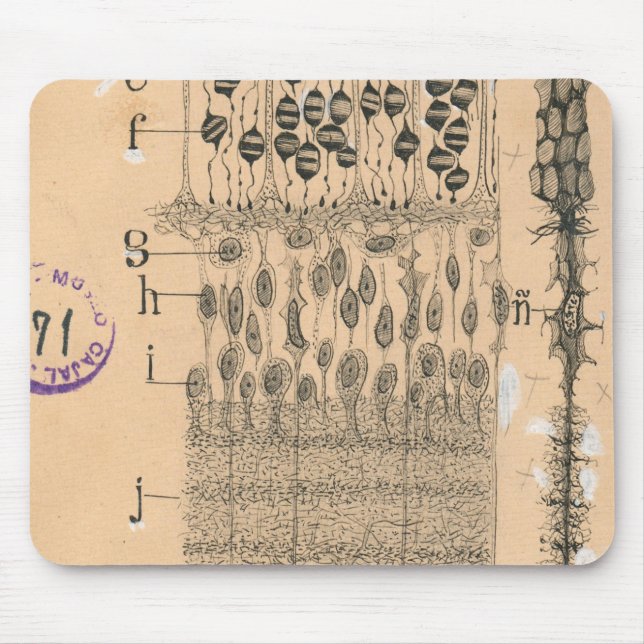 Tapis De Souris Piles Dessin Oeil Retina Santiago Ramon Y Cajal (Devant)