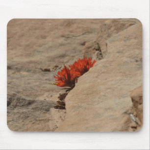 Tapis De Souris Pinceau indien dans les rochers à Zion