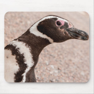 Tapis De Souris Pingouin magellanique, Patagonie, Argentine