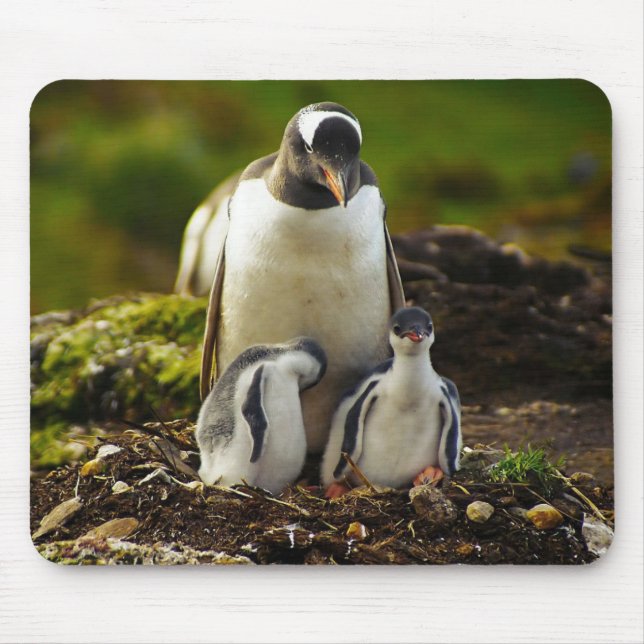 Tapis De Souris Pingouin maman et bébés (Devant)