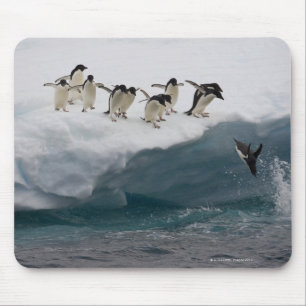 Tapis De Souris Pingouins d'Adelie plongeant dans la mer Paulette