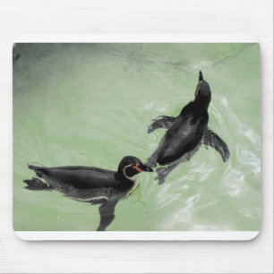 Tapis De Souris Pingouins Humboldt