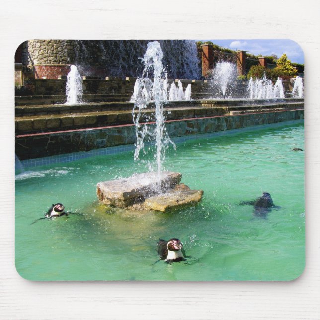 Tapis De Souris Pingouins Humboldt et oiseau-fontaine (Devant)