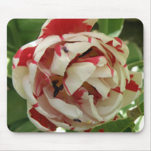 Tapis De Souris Pink and White Tulip Mousepad