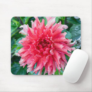Tapis De Souris Pink Dahlia Photographie, Fleur canadienne
