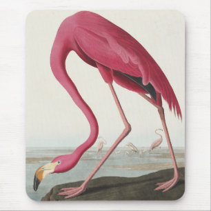 Tapis De Souris Pink Flamingo from Birds of America
