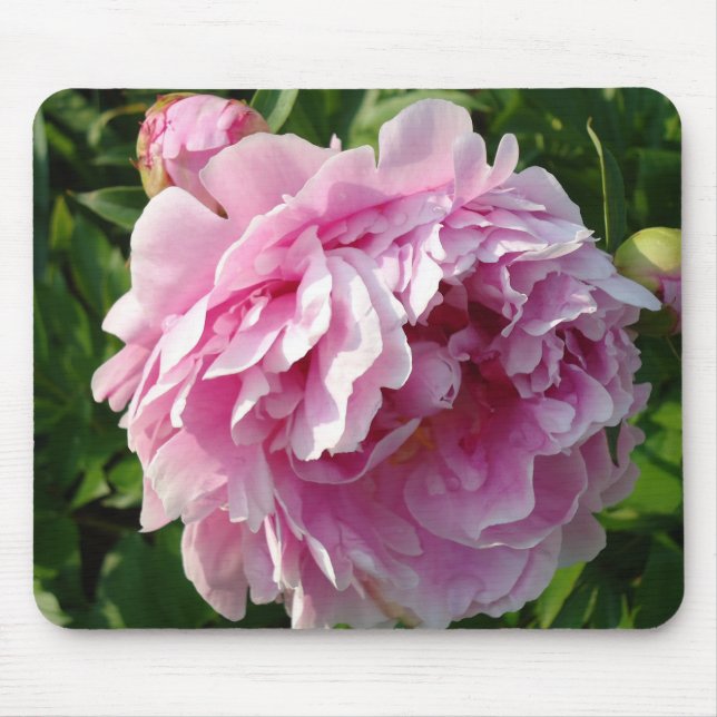 Tapis De Souris Pink Peony photo cottage ferme jardin fleuri (Devant)