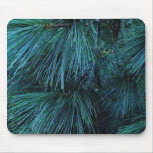 Tapis De Souris Pins rustiques   pinède   conifères verts