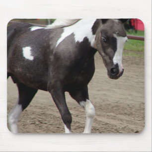 Tapis De Souris Pinto Mini Horse