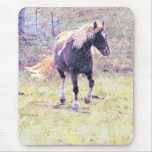 Tapis De Souris Pinto Pony