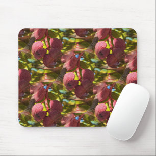 Tapis De Souris Pistaches...