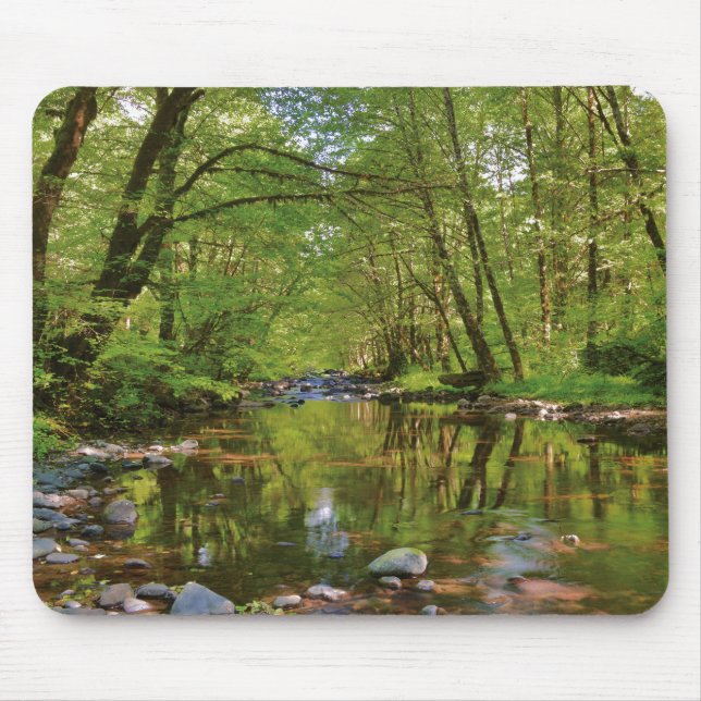 Tapis De Souris Pittoresque de la rivière Wilson (Devant)