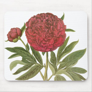 Tapis De Souris Pivoines anciennes, Fleurs de pivoine par Basilius
