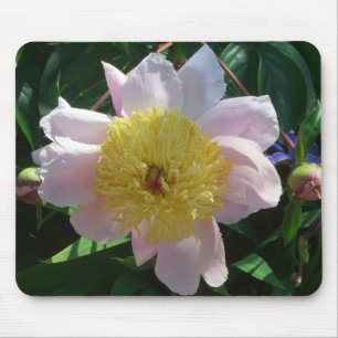 Tapis De Souris Pivoines roses et jaunes Belle flore
