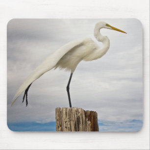 Tapis De Souris Plage douée du héron Fort Myers, la Floride