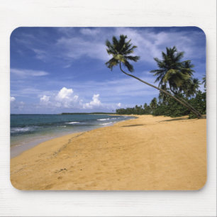 Tapis De Souris Plage Porto Rico 2