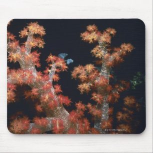 Tapis De Souris Plan rapproché d'eau du fond de corail molle