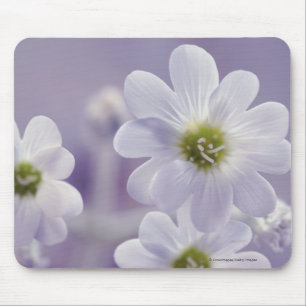 Tapis De Souris Plan rapproché des fleurs 2