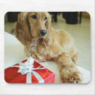Tapis De Souris Plan rapproché d'un chien avec un cadeau
