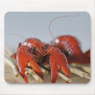 Tapis De Souris Plan rapproché d'un crabe sur des bâtons
