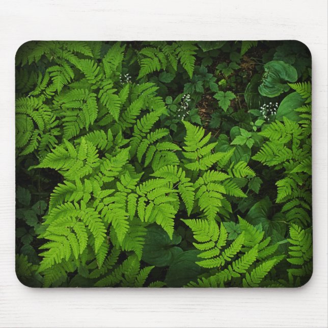 Tapis De Souris Plancher Mousepad de forêt (Devant)