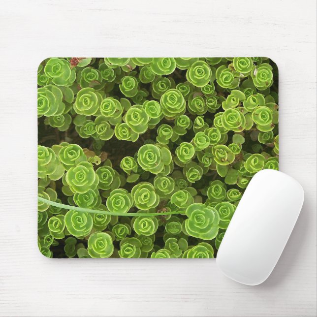Tapis De Souris Plante de jardin Green Sedum (Avec souris)