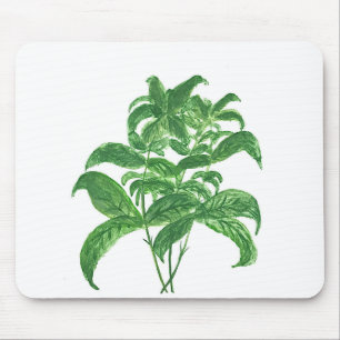 Tapis De Souris Plantes botaniques de cuisine verte herbes Basilic