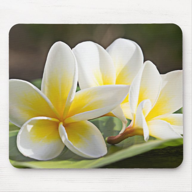 Tapis De Souris Plaque de souris à fleurs tropicales (Devant)